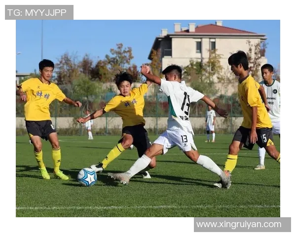 足球比赛罢赛背后的真相与影响分析探讨各方反应与未来发展趋势