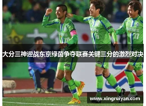 大分三神迎战东京绿茵争夺联赛关键三分的激烈对决