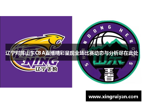 辽宁对阵山东CBA直播精彩呈现全场比赛动态与分析尽在此处