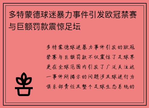 多特蒙德球迷暴力事件引发欧冠禁赛与巨额罚款震惊足坛